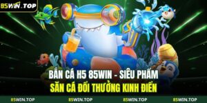 Bắn cá H5 85WIN