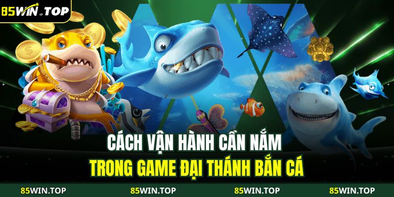 Đại Thánh Bắn Cá – Cuộc Phiêu Lưu Săn Thưởng Hấp Dẫn Nhất 3 Cách vận hành cần nắm trong game Đại Thánh Bắn Cá