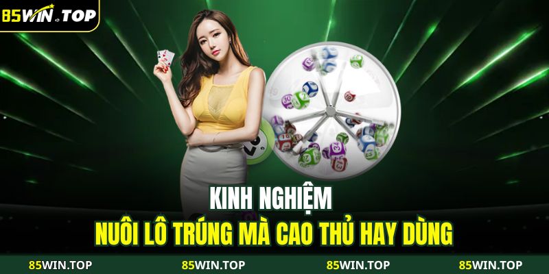 Kinh nghiệm nuôi lô trúng mà cao thủ hay dùng