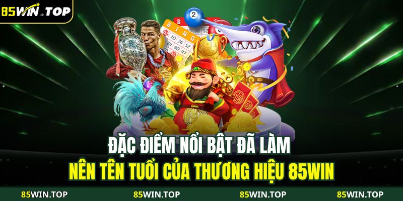 Trang chủ 28 Đặc điểm nổi bật đã làm nên tên tuổi của thương hiệu 85WIN