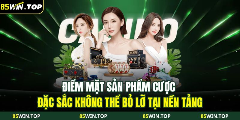 Trang chủ 29 Điểm danh các chương trình khuyến mãi đặc biệt chỉ có tại 85WIN